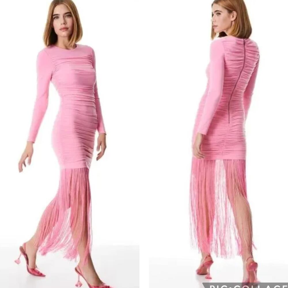 NWT Alice + Olivia Mini Dress Katherina Fringe Trim Long Sleeve Primrose NEW 0
